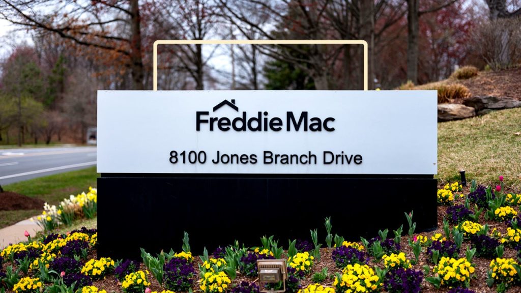 Fannie Mae And Freddie Mac Conservatorship