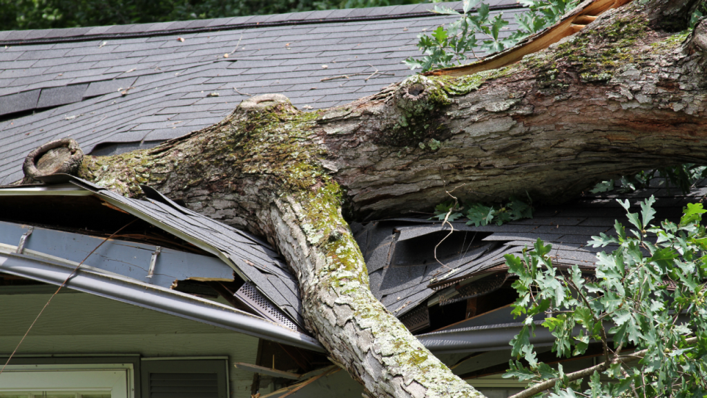 Worried About Extreme Weather? Home Insurance Can Provide a Financial Lifeline