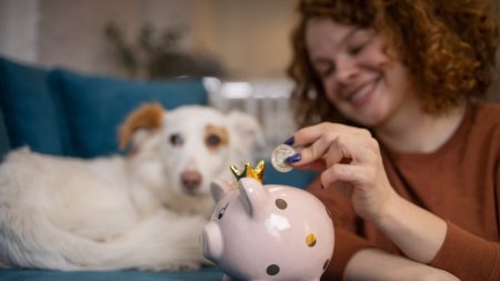 Should You Get Pet Insurance Or A Pet Savings Account?